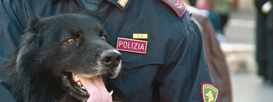 Sap Sindacato Autonomo Polizia