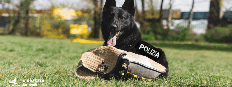 Sap Sindacato Autonomo Polizia
