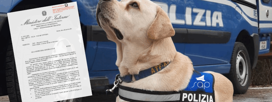 Sap Sindacato Autonomo Polizia
