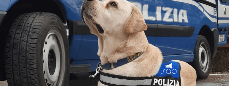 Sap Sindacato Autonomo Polizia